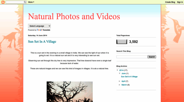 naturalphotovideo.blogspot.in