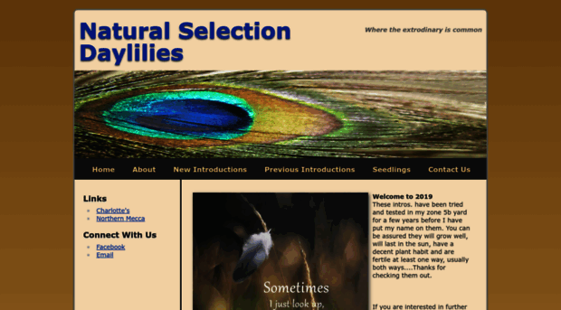 naturalselectiondaylilies.com