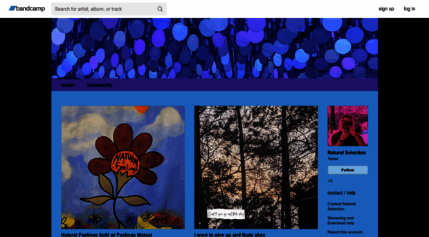 naturalselectionmusic.bandcamp.com