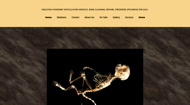 naturalskeleton.com