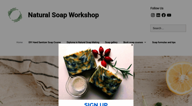 naturalsoapworkshop.com