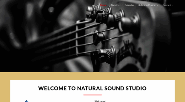 naturalsoundstudio.com