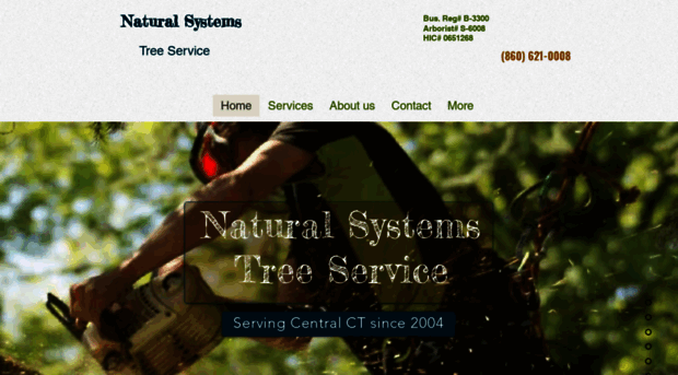 naturalsystemstreeremoval.com