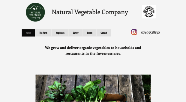 naturalvegetablecompany.co.uk