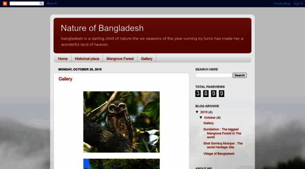 nature-of-bangladesh-nzm.blogspot.com