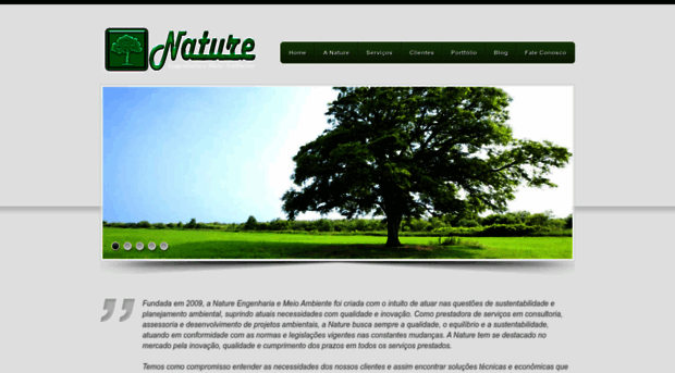 natureambiental.com.br