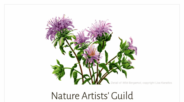 natureartistsguild.com