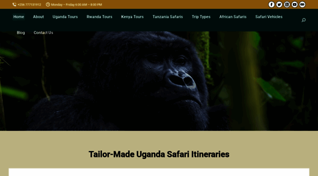 naturenestsafaris.com