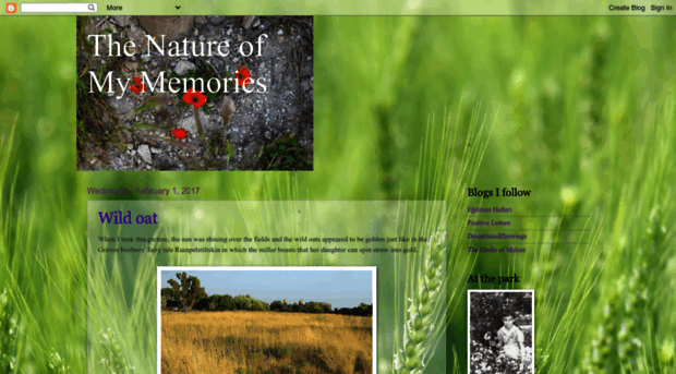 natureofmymemories.blogspot.com