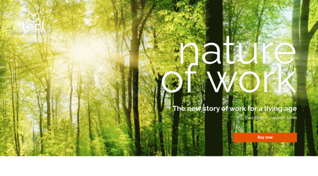 natureofwork.com