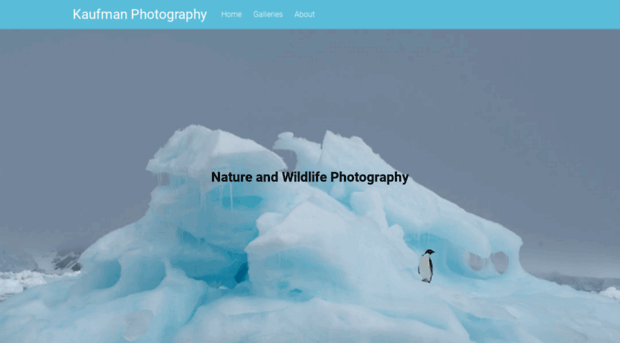 naturephotography.net