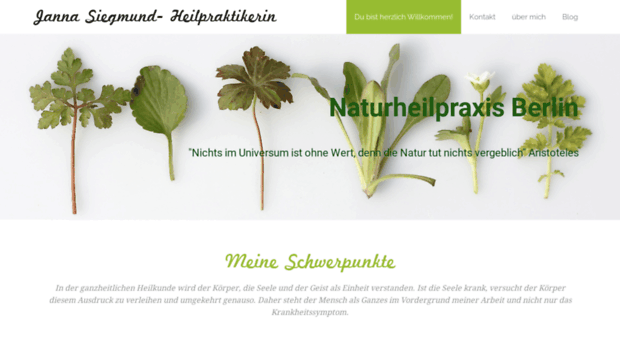 naturheilpraxisberlin.com