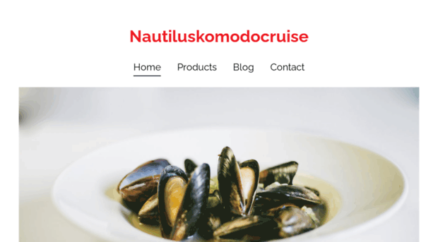 nautiluskomodocruise.voog.com