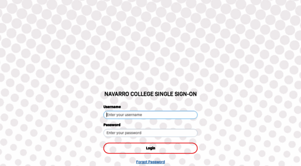 navarrocollege.instructure.com