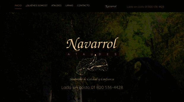 navarrol.com