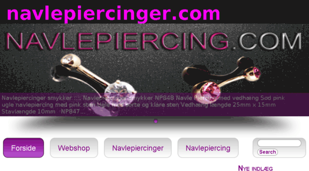 navlepiercinger.com