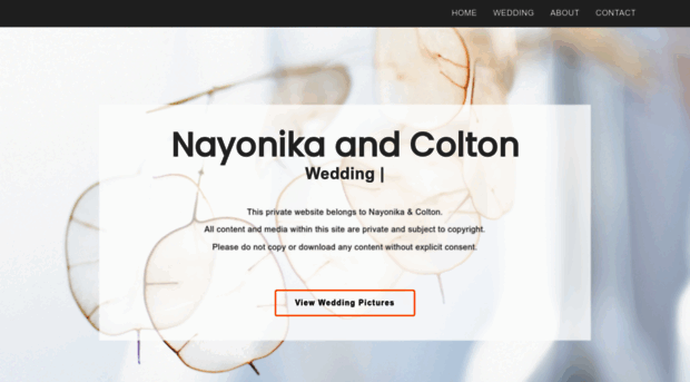 nayonika.com