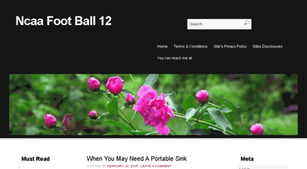 ncaafootball12.net