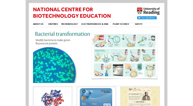 ncbe.reading.ac.uk