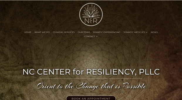 nccenterforresiliency.com