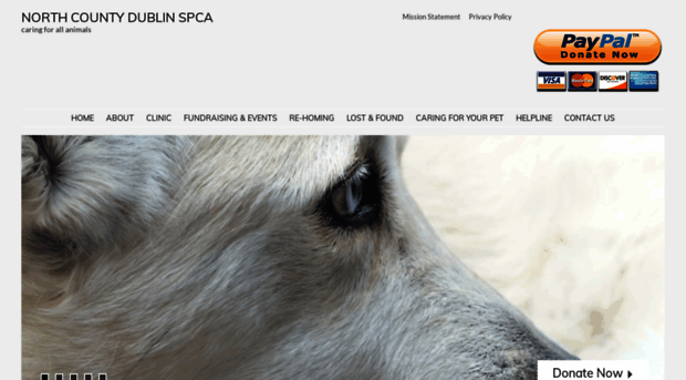 ncdspca.org