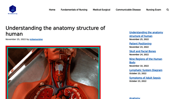 nclexnursing.com