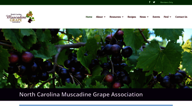 ncmuscadinegrape.org