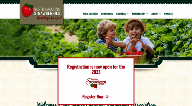 ncstrawberry.com