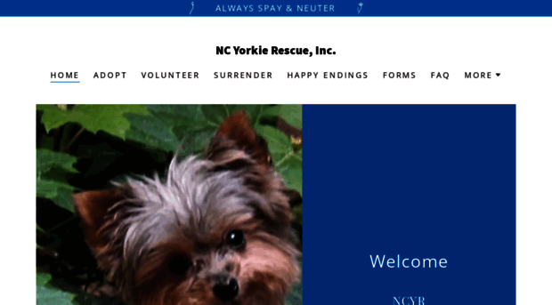 ncyorkierescue.net