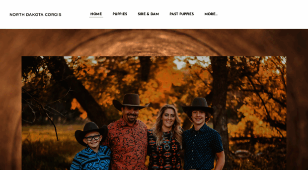 ndcorgis.com