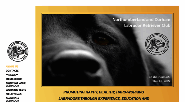 ndlabclub.co.uk