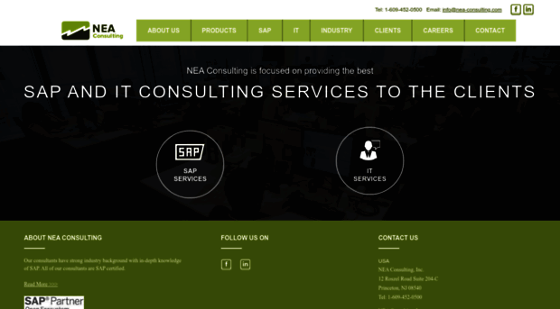 nea-consulting.com