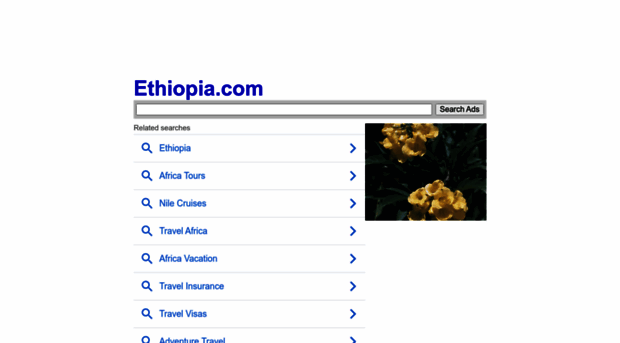 nea.ethiopia.com