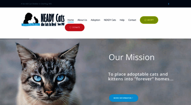 neadycats.org