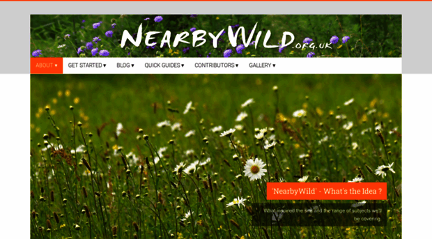 nearbywild.org.uk