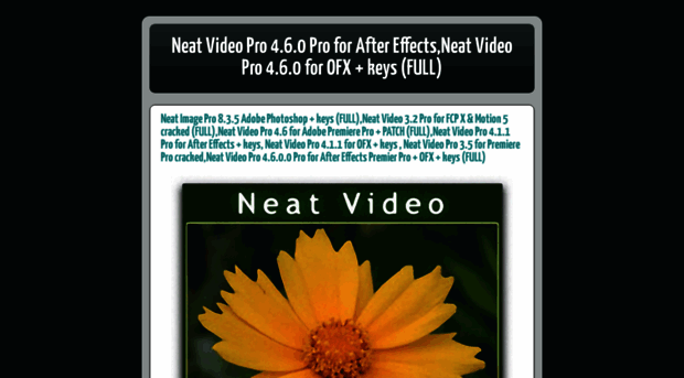 neat-video-pro-4.blogspot.com