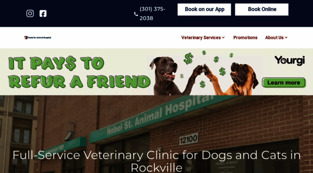 nebelstreetanimalhospital.com