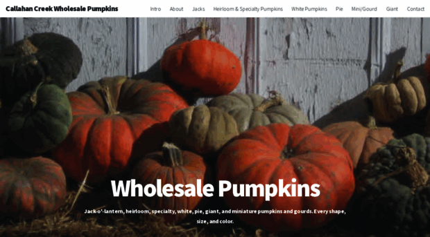 nebraskapumpkins.com