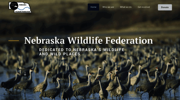 nebraskawildlife.org