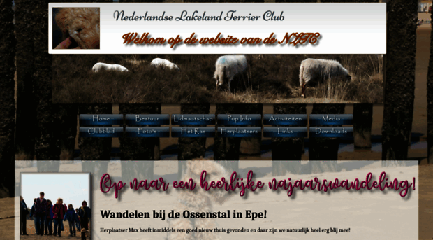 nedlakelandterrierclub.nl