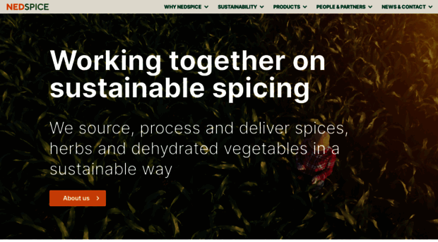 nedspice.com