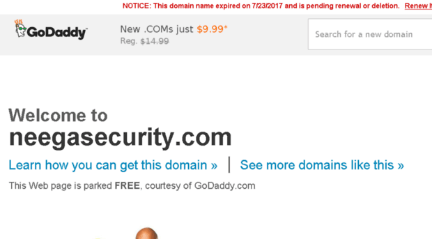 neegasecurity.com