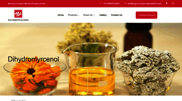 neerumenthol.com