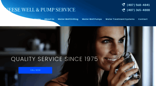 neesewellandpump.com
