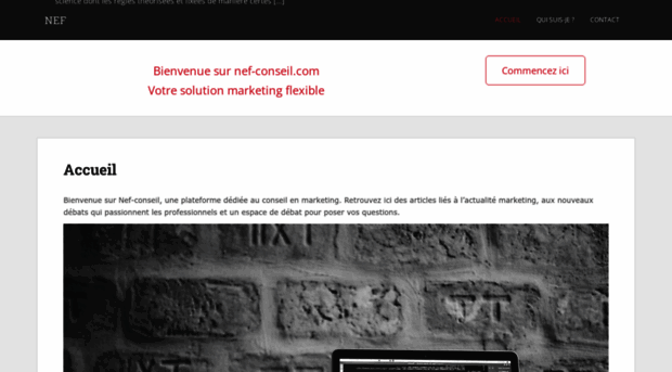 nef-conseil.com