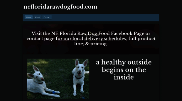 nefloridarawdogfood.com