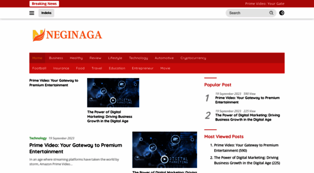 neginaga.com