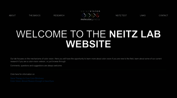 neitzvision.com