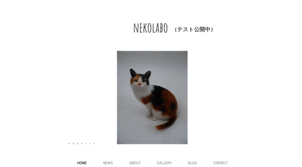 neko-labo.com