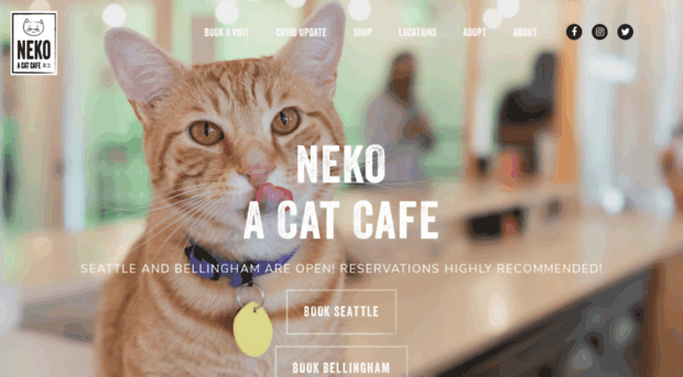 nekoseattle.com